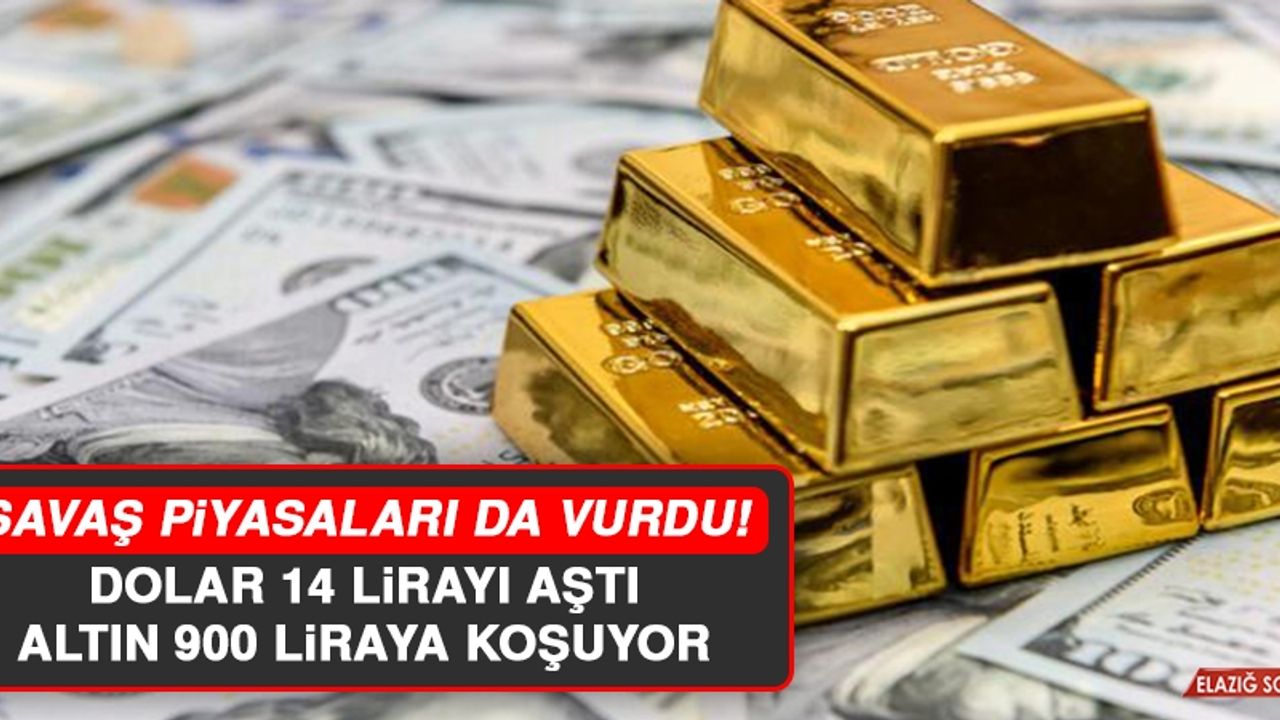 Dolar 14 Lirayı Aştı, Altın 900 Liraya Koşuyor