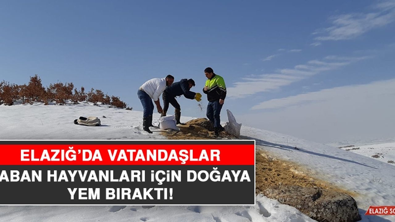 Elazığ’da Vatandaşlar Yaban Hayvanları İçin Doğaya Yem Bıraktı