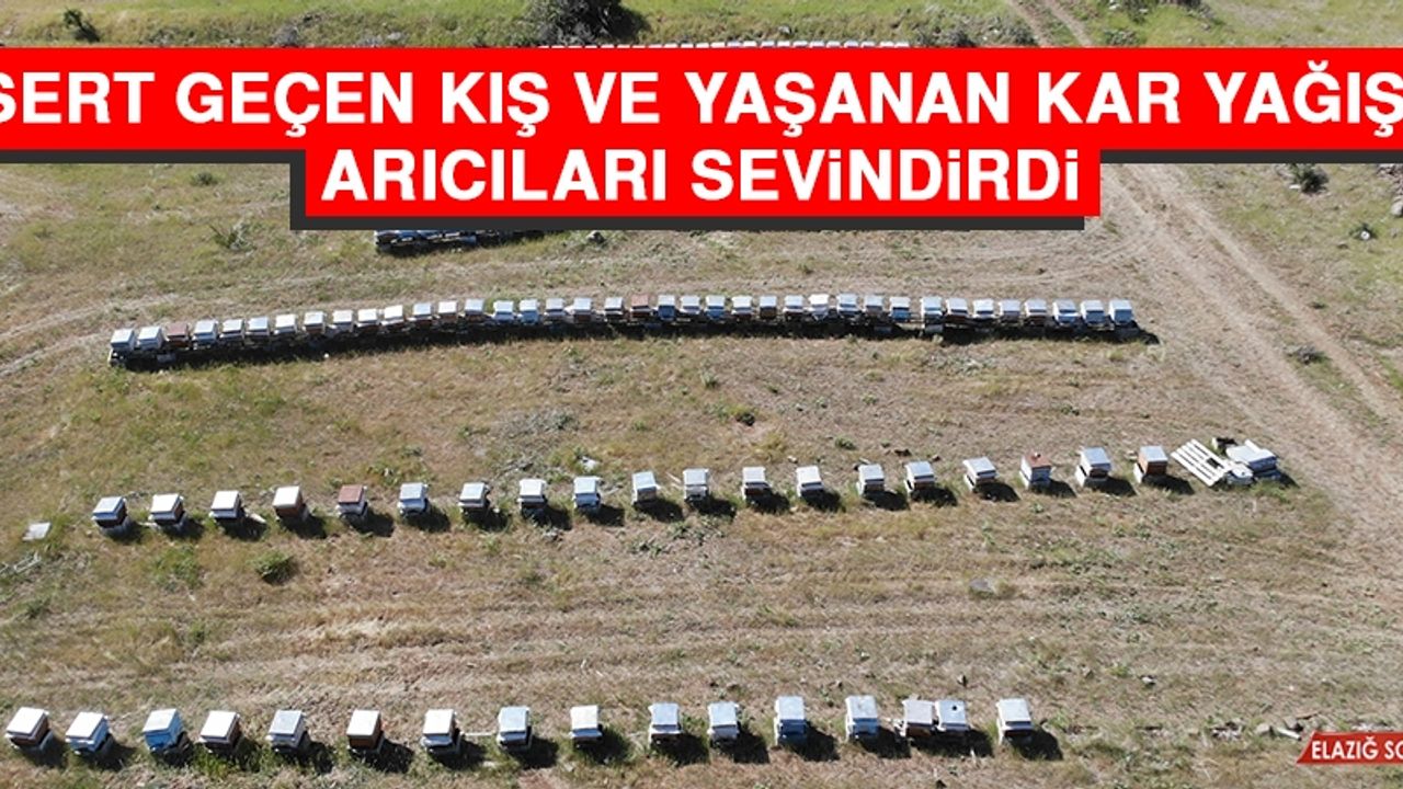 Sert Geçen Kış ve Yaşanan Kar Yağışı Arıcıları Sevindirdi