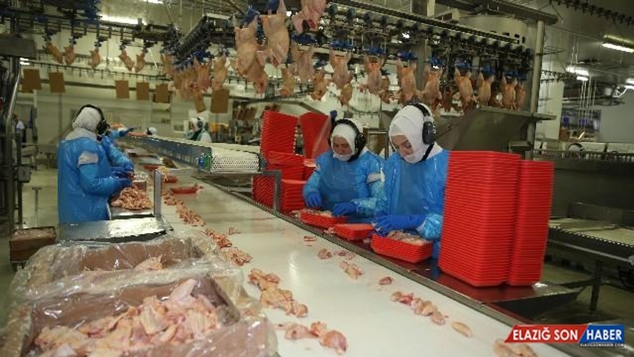 Türkiye'de geçen yıl 2,2 milyon ton tavuk eti üretildi