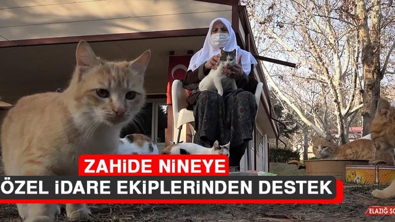 Zahide Nineye İl Özel İdare Ekiplerinden Destek