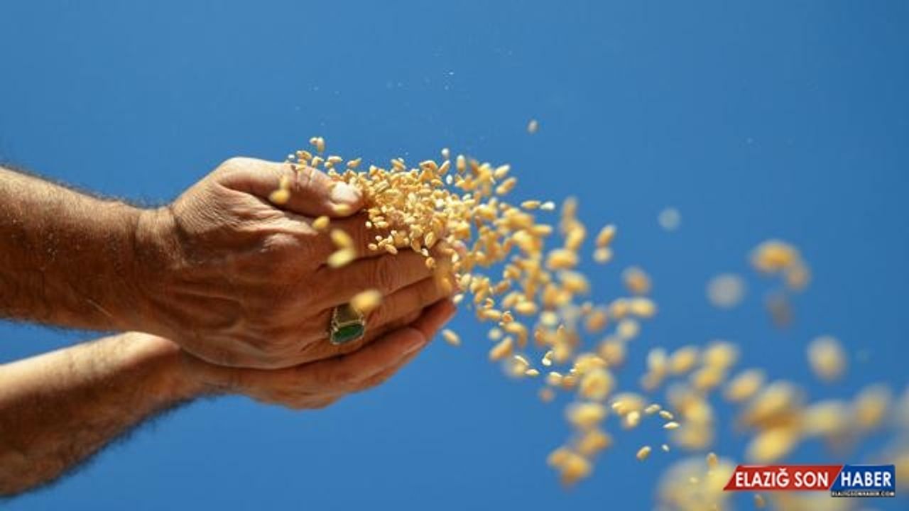 Dünya hububat sektörü İstanbul'da bir araya geldi