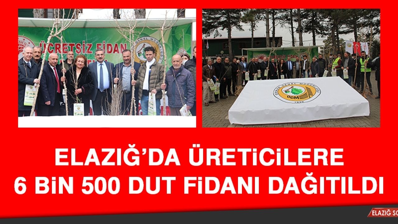 Elazığ’da Üreticilere 6 Bin 500 Dut Fidanı Dağıtıldı