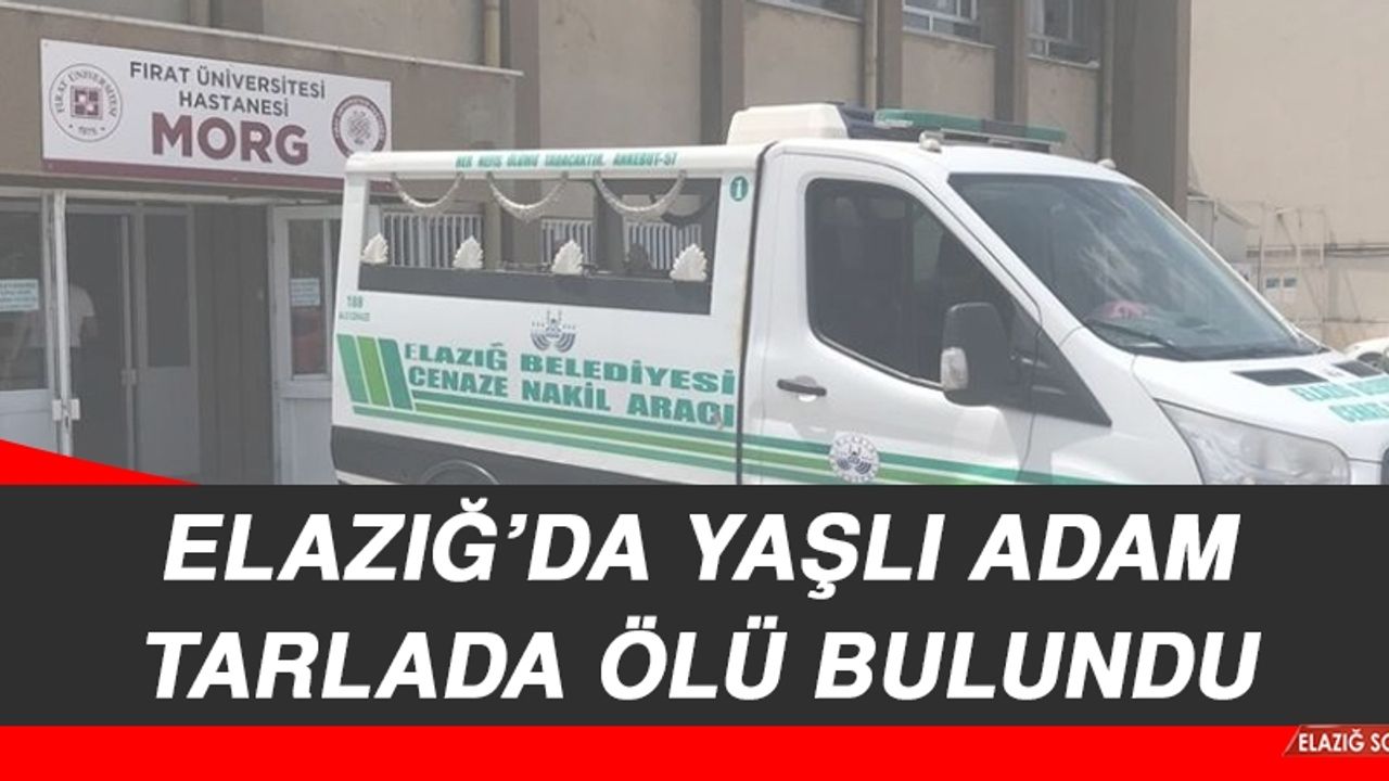 Elazığ’da Yaşlı Adam Tarlada Ölü Bulundu