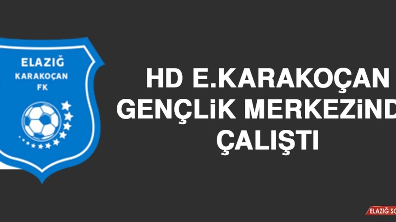 HD E.Karakoçan, Gençlik Merkezinde Çalıştı