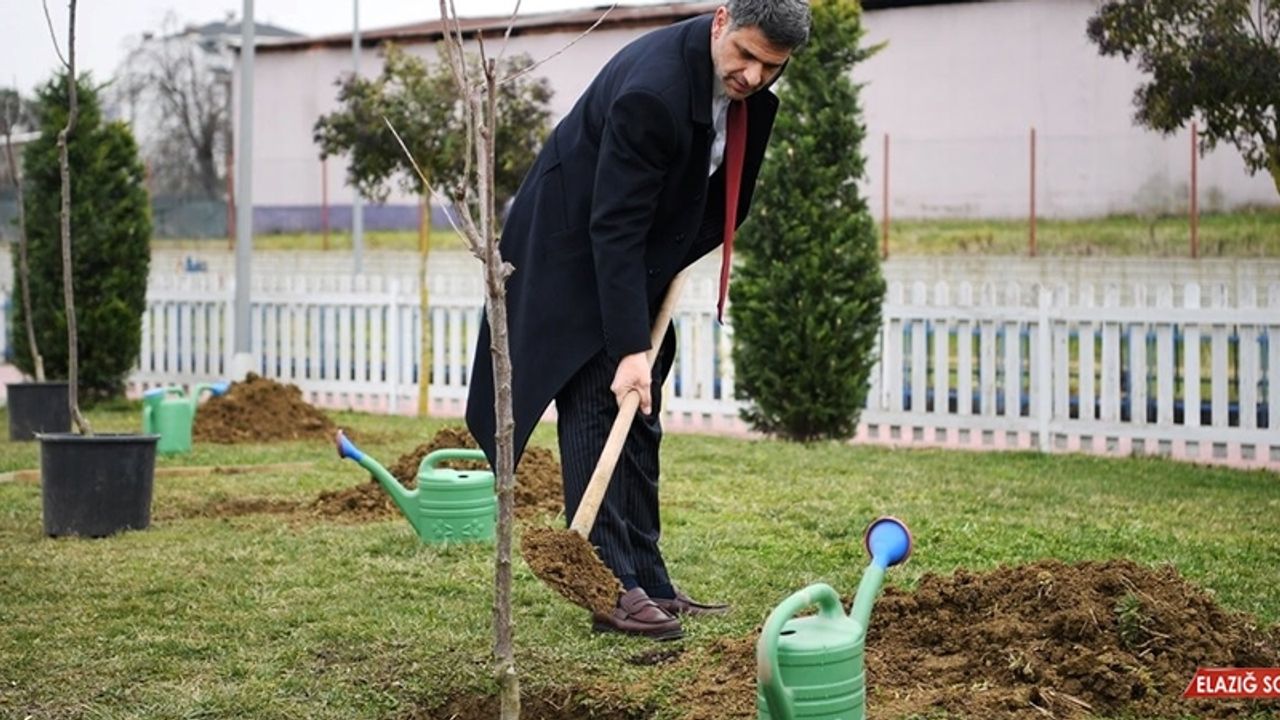 Herkes Dalından Yesin Diye Yüzlerce Kiraz Ve Vişne Ekildi  