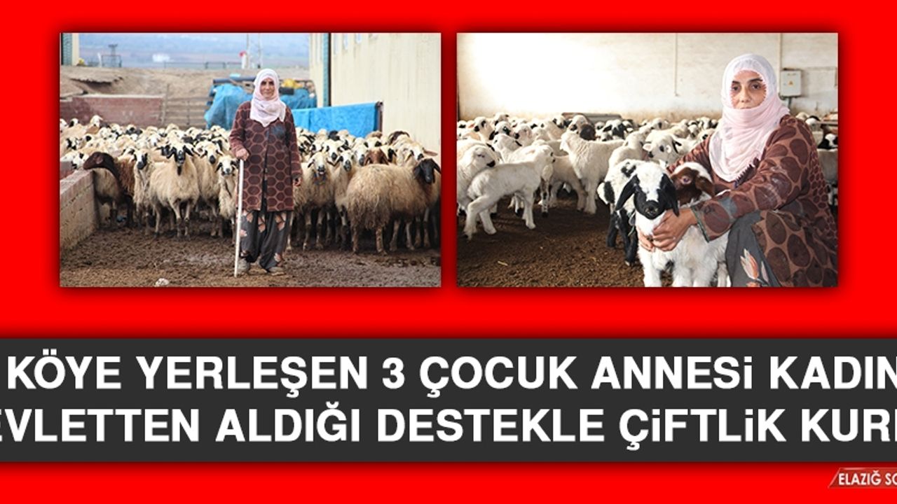 Köye Yerleşen 3 Çocuk Annesi Kadın Devletten Aldığı Destekle Çiftlik Kurdu