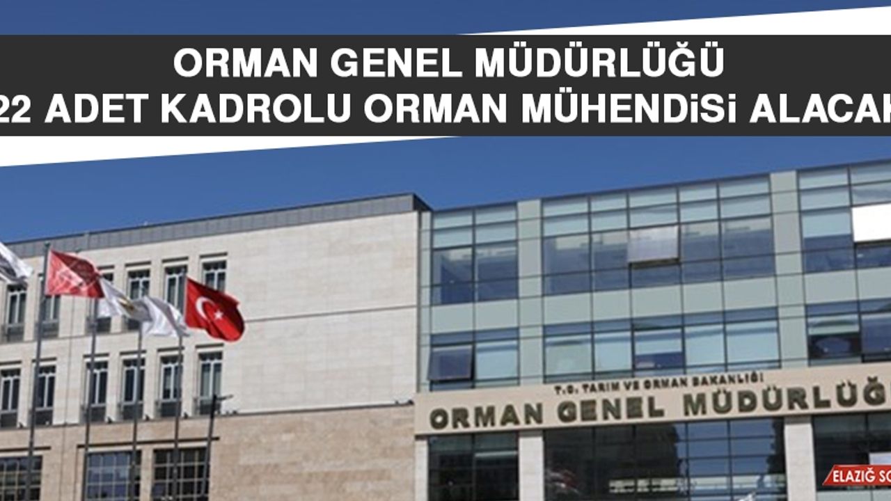 Orman Genel Müdürlüğü 22 Adet Kadrolu Orman Mühendisi Alacak