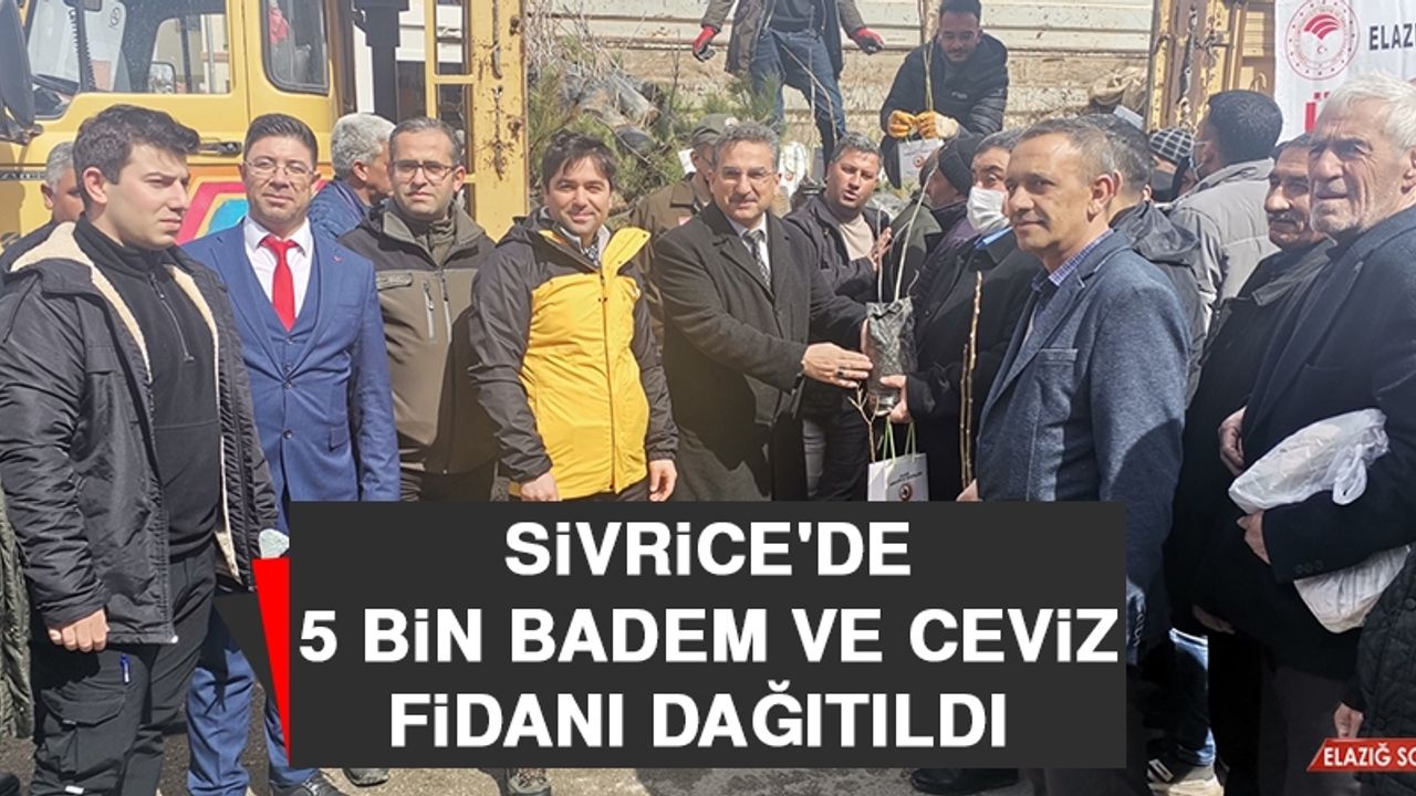 Sivrice'de 5 Bin Badem ve Ceviz Fidanı Dağıtıldı