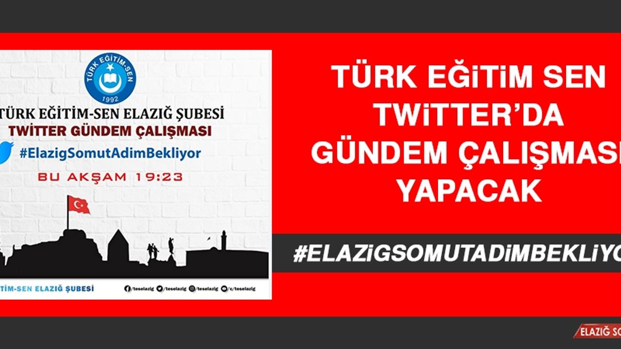 Türk Eğitim Sen Twitter’da Gündem Çalışması Yapacak
