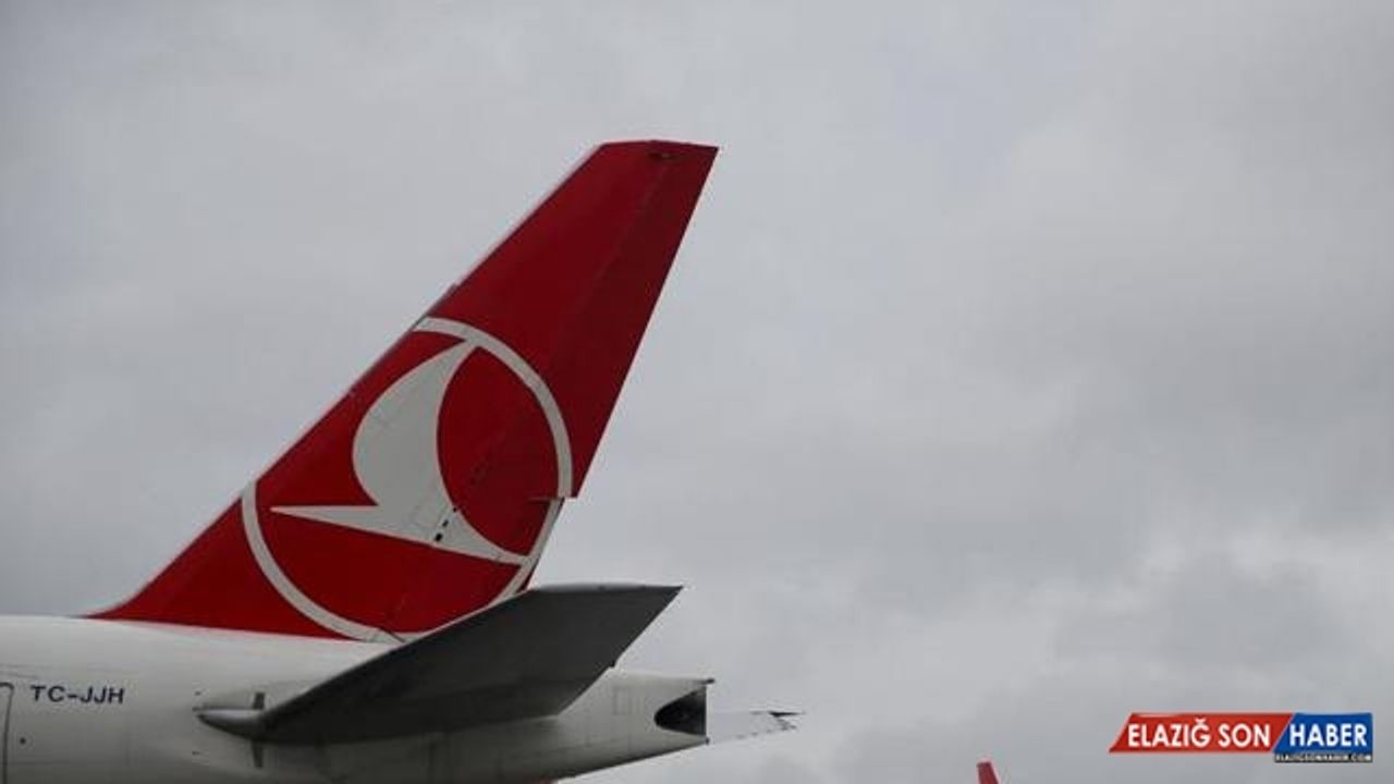 Türk Hava Yolları'ndan gençlere iş fırsatı