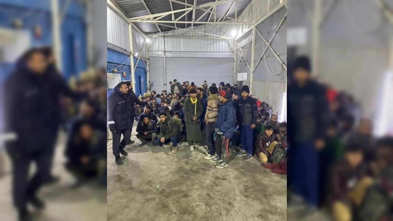 Ağrı'da kereste yüklü kamyonda 113 düzensiz göçmen yakalandı