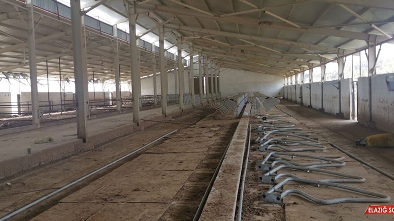 Besi Çiftliğinden Hırsızlık Yapan Kişi Jandarma Tarafından Yakalandı  