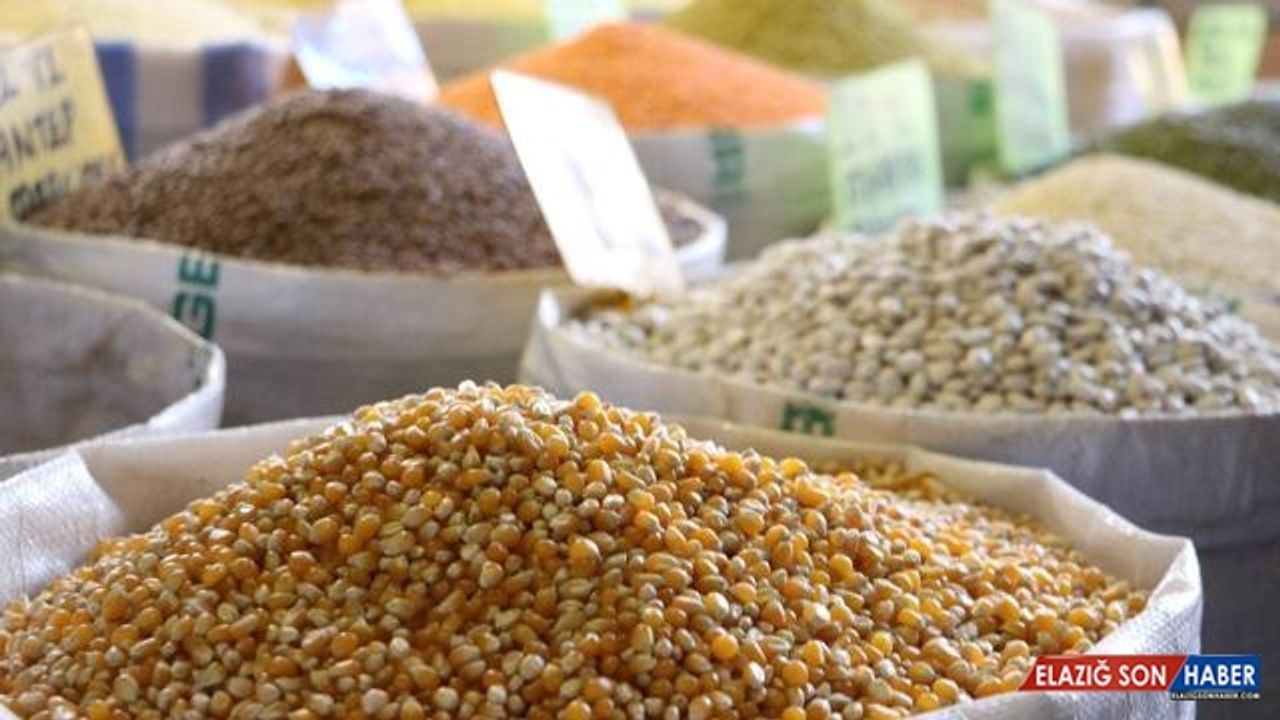 Ege'de hububat ihracatı 4 yılda yüzde 142 arttı