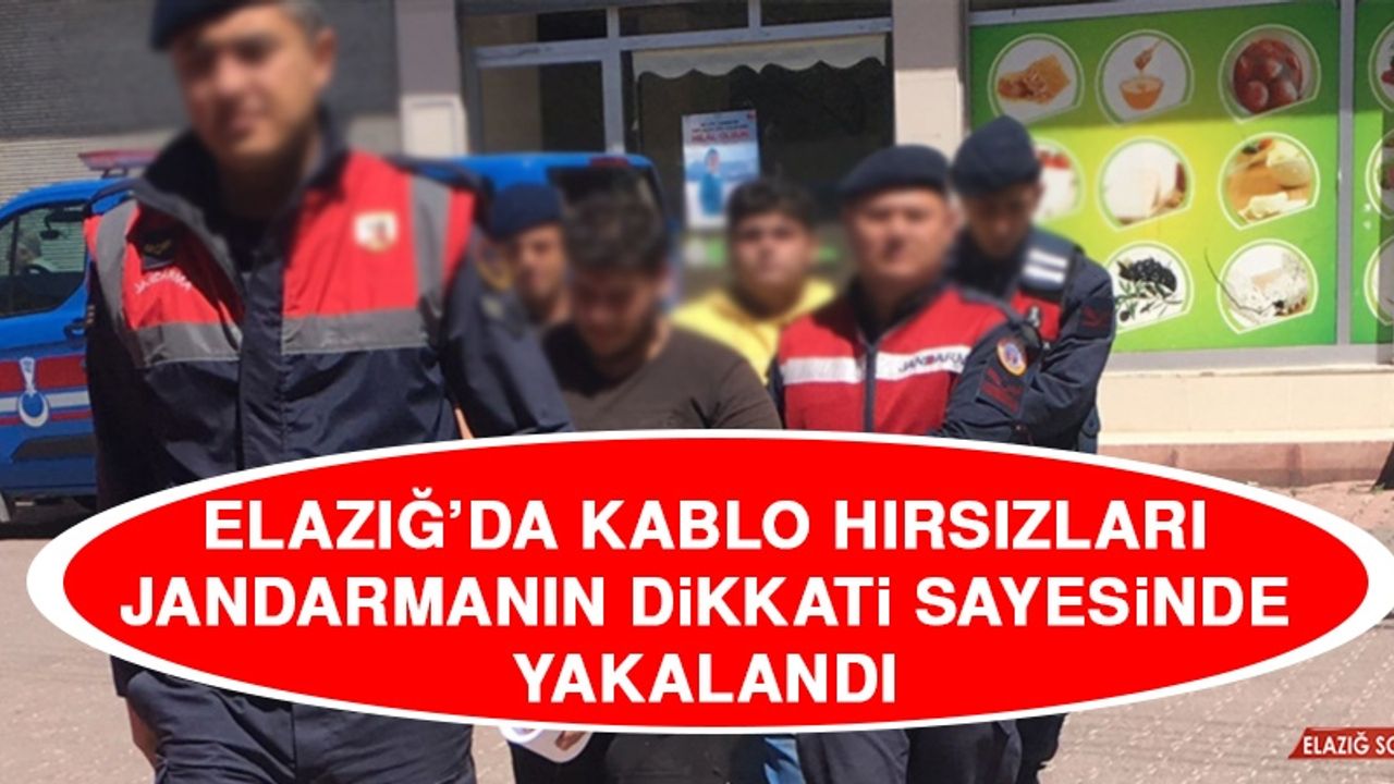 Elazığ'da Kablo Hırsızları Jandarmanın Dikkati Sayesinde Yakalandı  