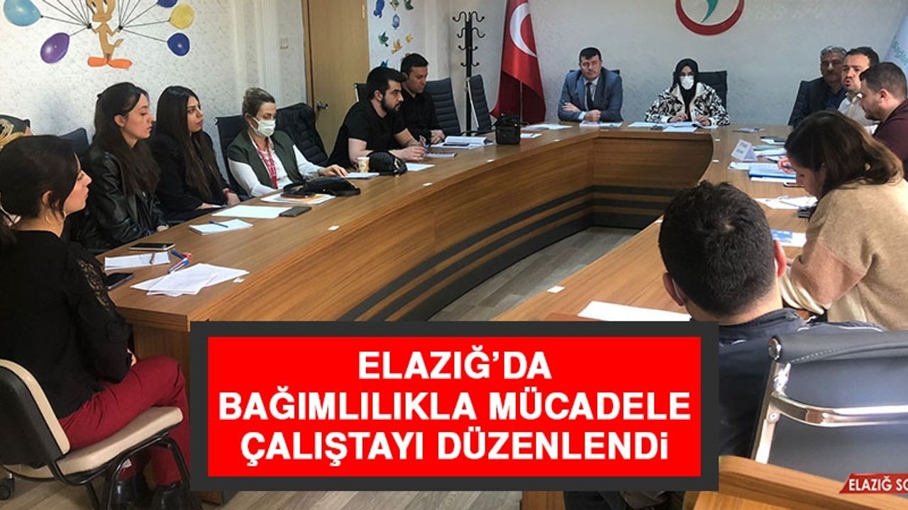 Elazığ’da Bağımlılıkla Mücadele Çalıştayı Düzenlendi