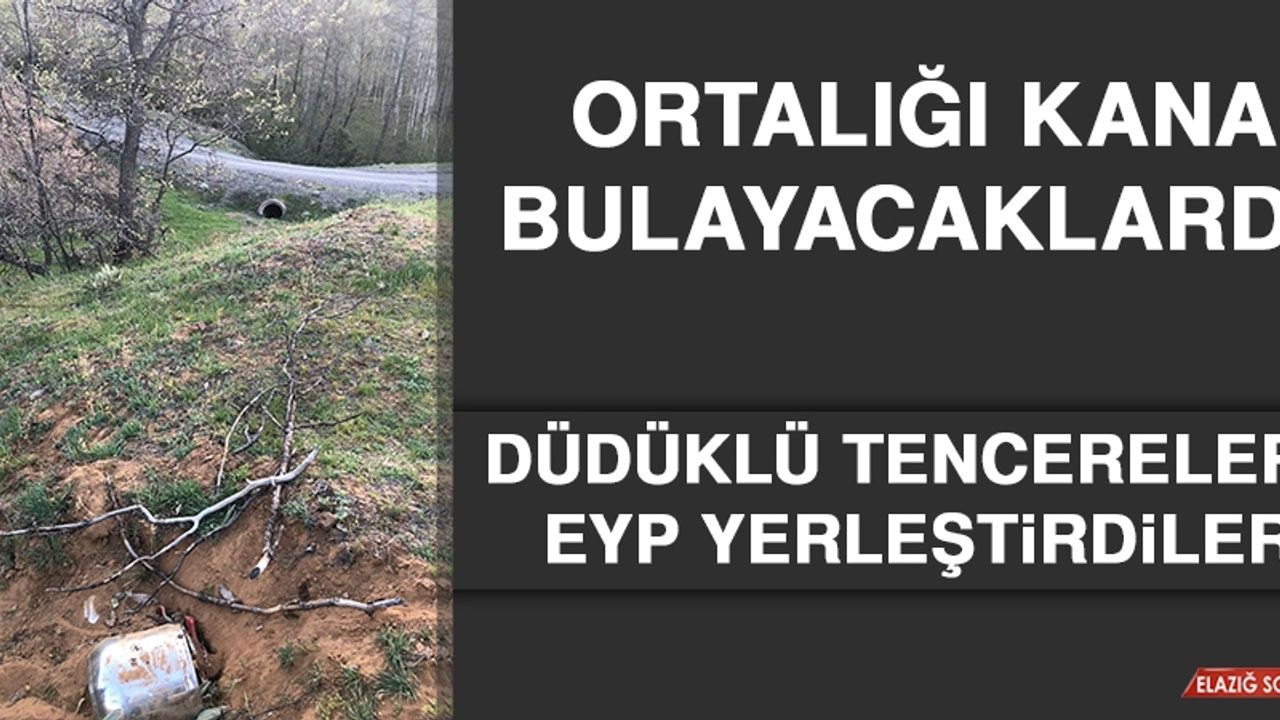 Jandarma Ekipleri 40 kg Ağırlığındaki EYP’yi Etkisiz Hale Getirdi