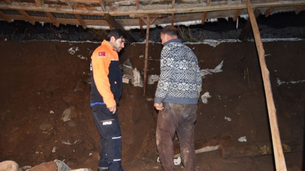 Kars'ta çöken ahırdaki yaklaşık 70 küçükbaş hayvan telef oldu