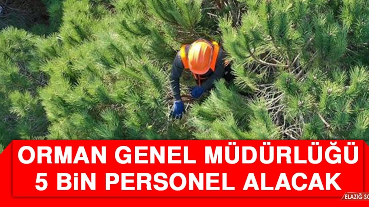 Orman Genel Müdürlüğü 5 Bin Personel Alacak