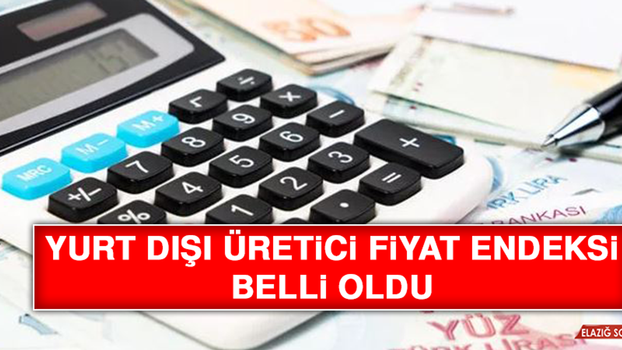 Yurt Dışı Üretici Fiyat Endeksi Belli Oldu