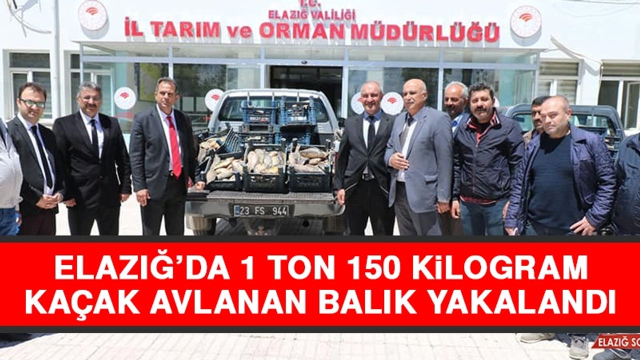 Elazığ’da 1 Ton 150 Kilogram Kaçak Avlanan Balık Yakalandı