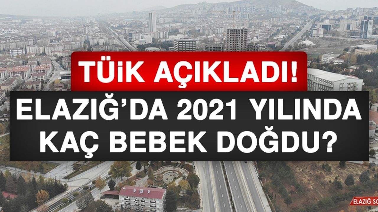 Elazığ’da 2021 Yılında Kaç Bebek Doğdu?