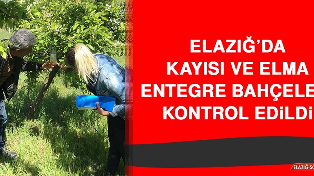 Elazığ’da Kayısı ve Elma Entegre Bahçeleri Kontrol Edildi
