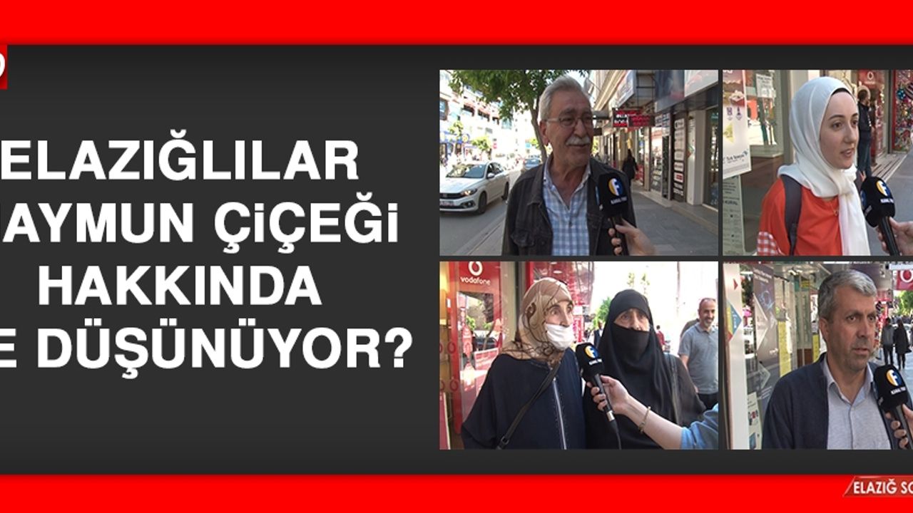 Elazığlılar Maymun Çiçeği Hakkında Ne Düşünüyor?