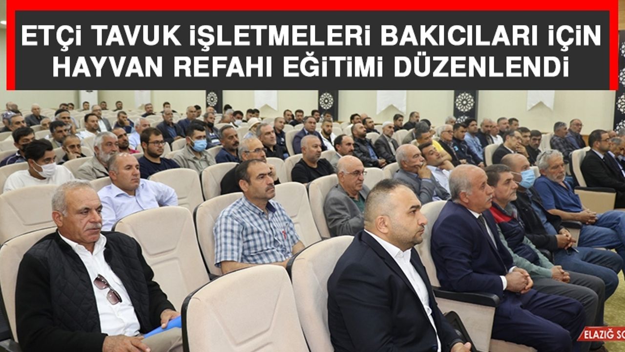 Etçi Tavuk İşletmeleri Bakıcıları İçin Hayvan Refahı Eğitimi Düzenlendi