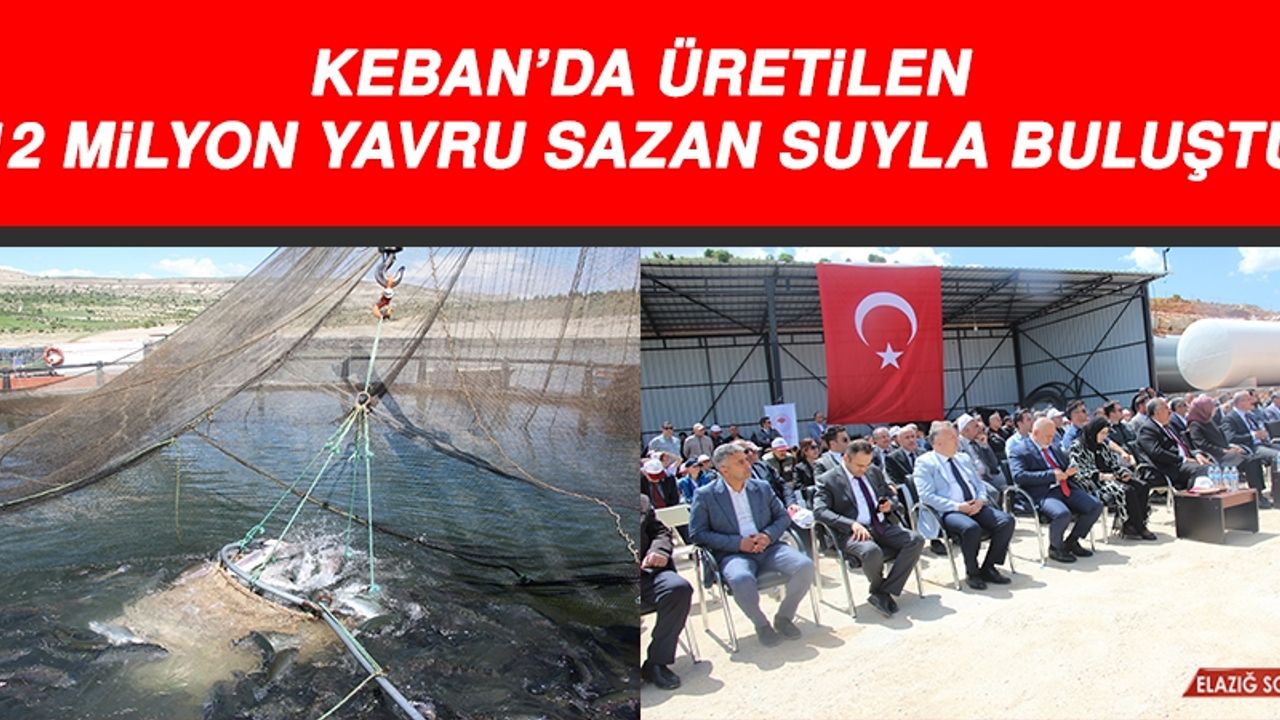 Keban’da Üretilen 12 Milyon Yavru Sazan Suyla Buluştu