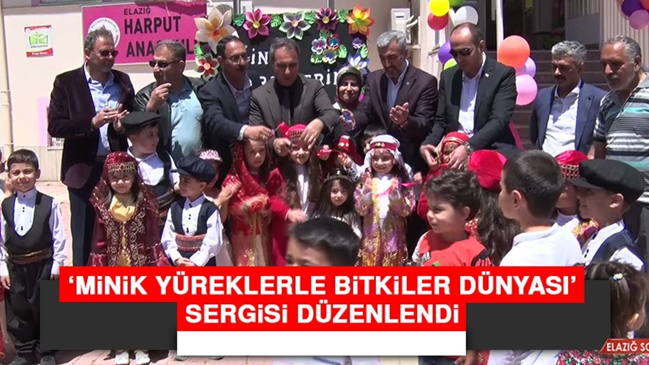 ‘Minik Yüreklerle Bitkiler Dünyası’ Sergisi Düzenlendi