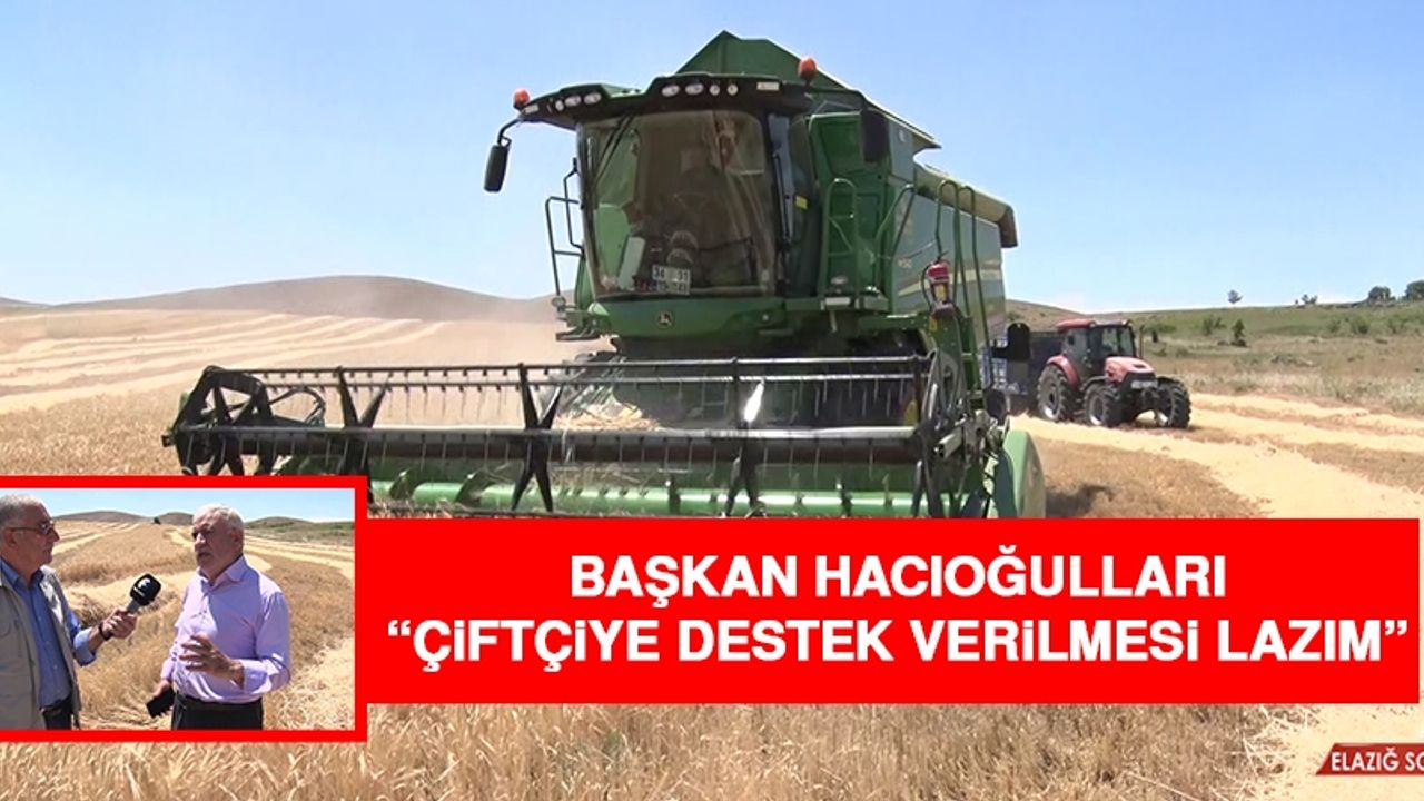 2022 Arpa ve Buğday Alım Fiyatları Belli Oldu