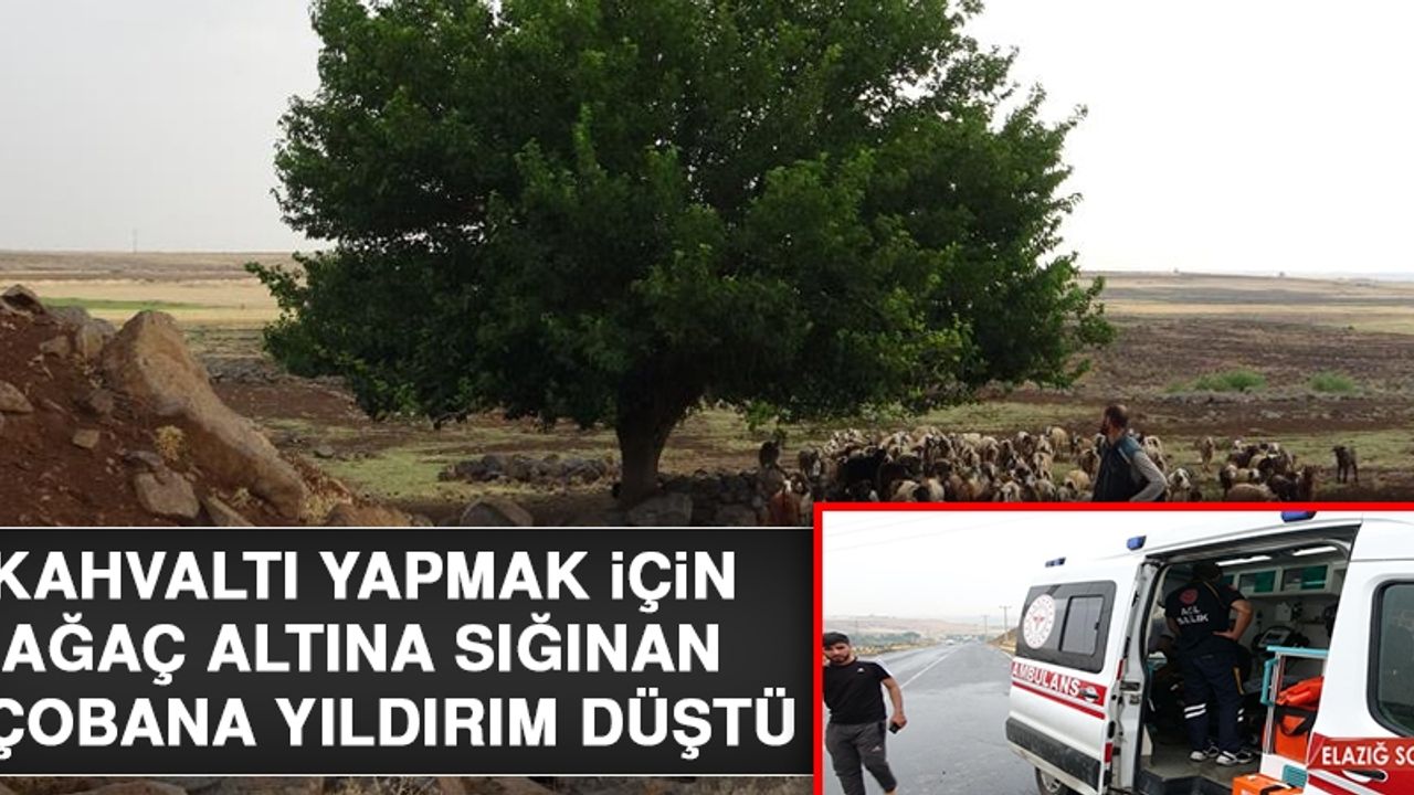 Ağaç Altına Sığınan 6 Çobana Yıldırım Düştü