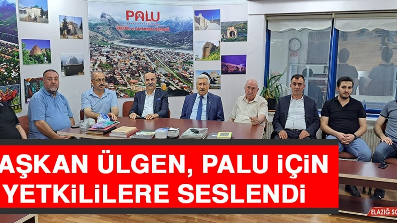 Başkan Ülgen, Palu İçin Yetkililere Seslendi