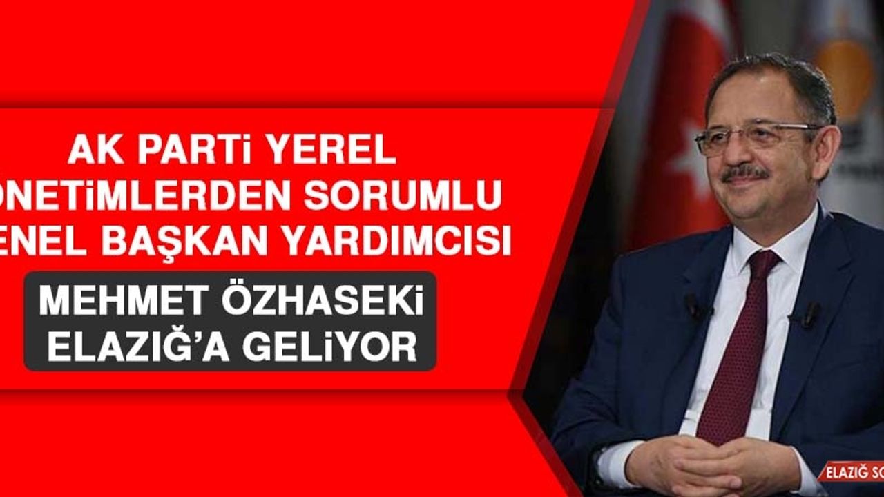 Başkan Yardımcısı Mehmet Özhaseki, Elazığ’a Geliyor
