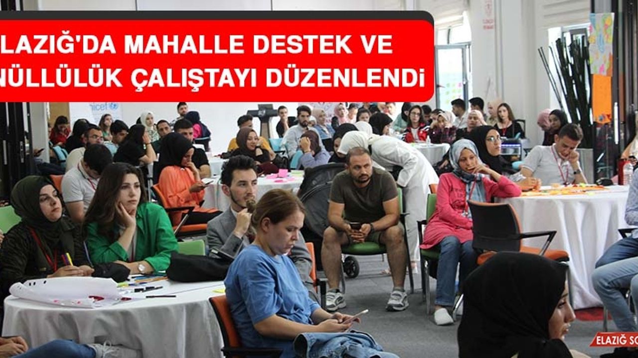 Elazığ'da Mahalle Destek ve Gönüllülük Çalıştayı Düzenlendi