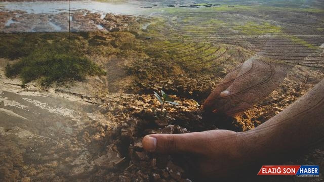 Geçen yıl 36 bin 695 hektarda erozyon çalışması yapıldı