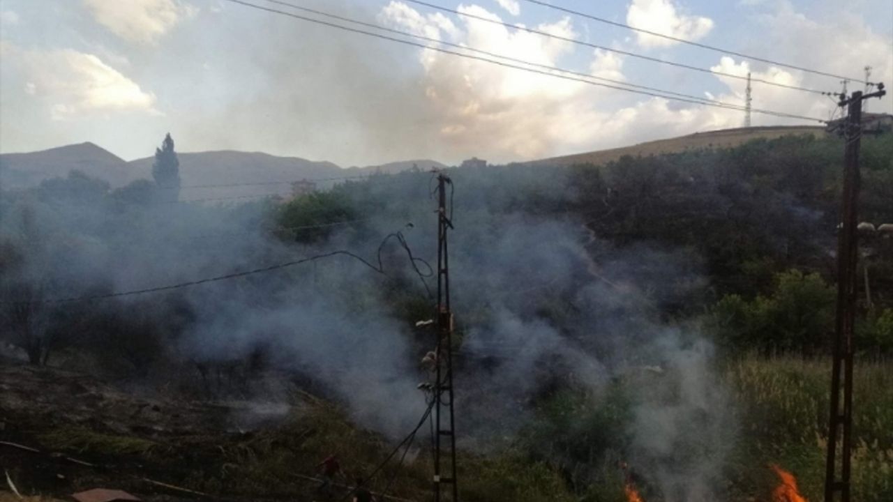 Malatya'da çıkan yangında kayısı bahçesi zarar gördü
