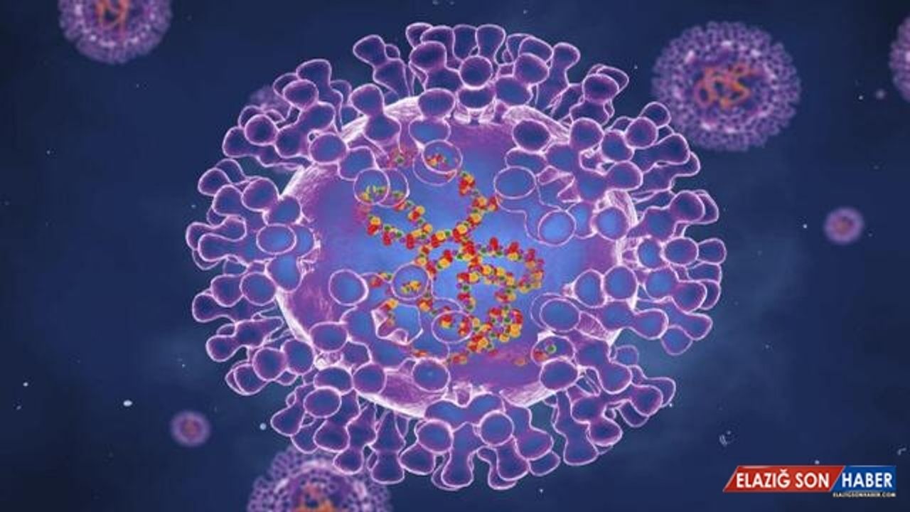 Maymun çiçeği beklenmedik bir hızda evrimleşti