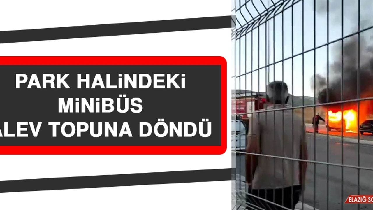 Park Halindeki Minibüs Alev Topuna Döndü