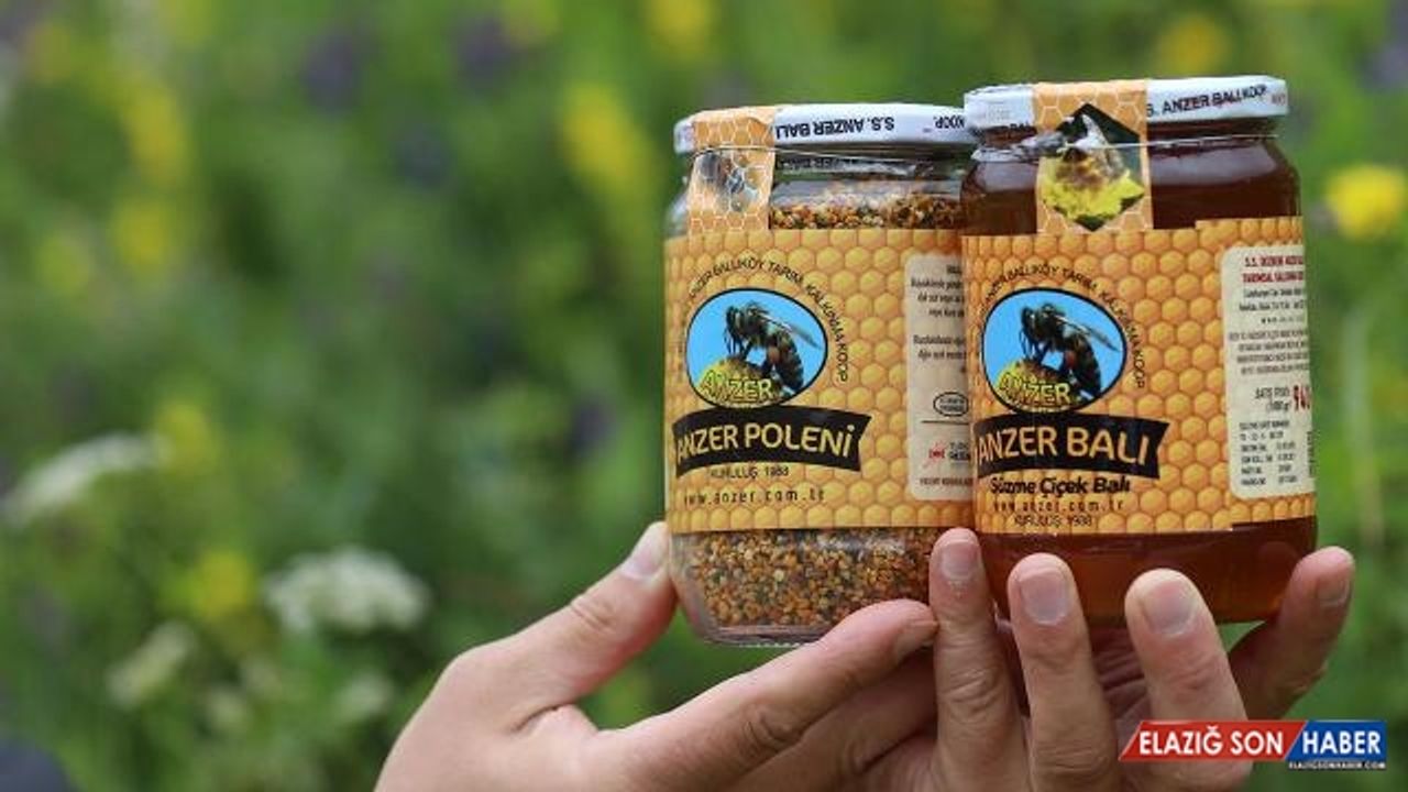 Anzer balının kilosu 2 bin liradan satışa sunulacak