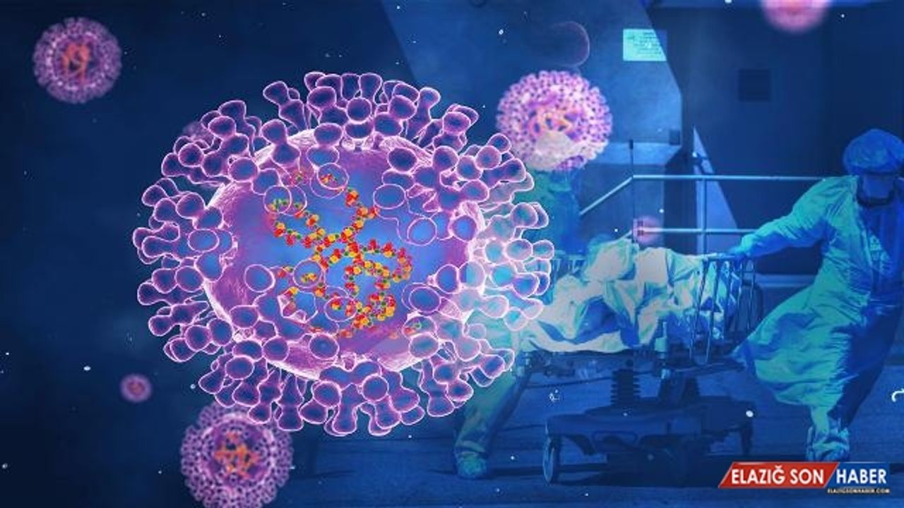 DSÖ'den maymun çiçeği temaslılarına 'seyahatten kaçınma' çağrısı