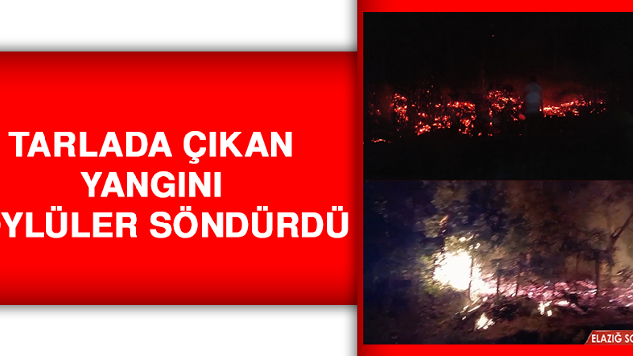 Elazığ'da Tarlada Çıkan Yangını Köylüler Söndürdü