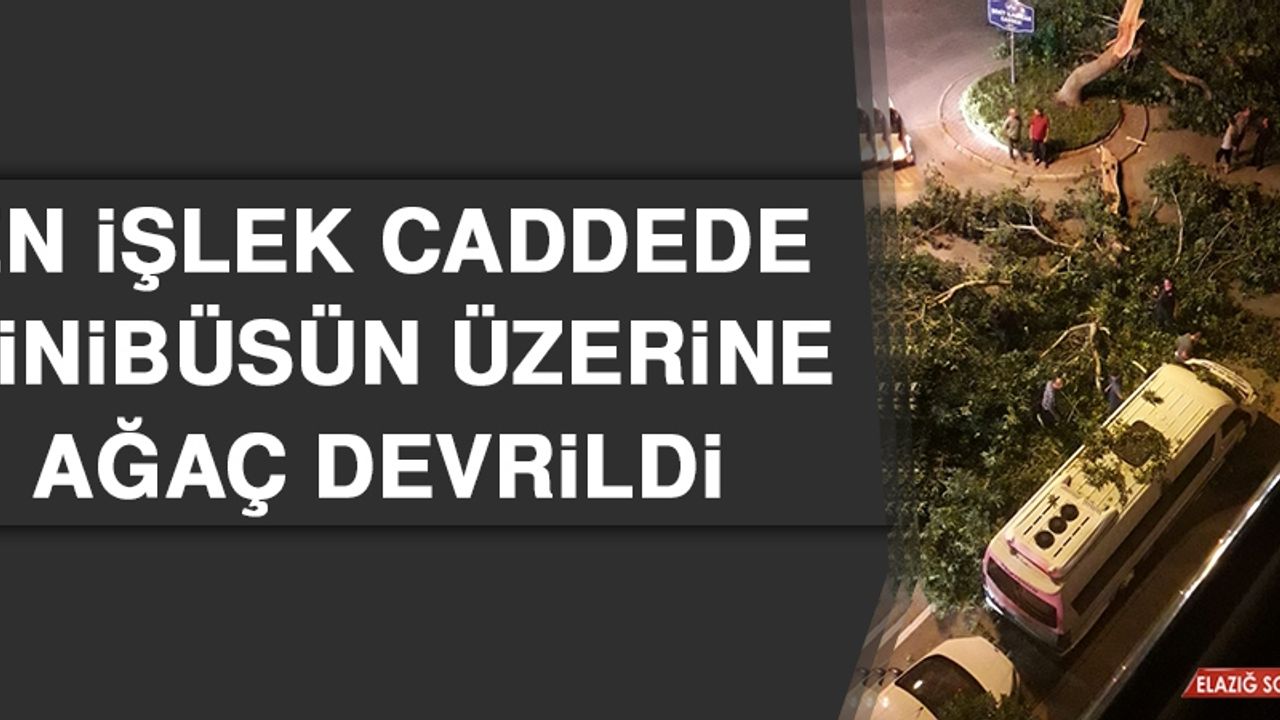En İşlek Caddede Minibüsün Üzerine Ağaç Devrildi