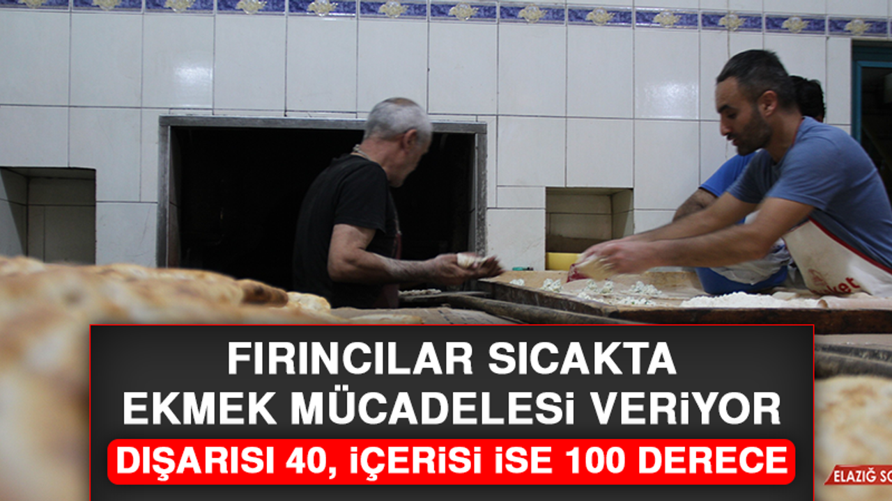 Fırıncılar Sıcakta Ekmek Mücadelesi Veriyor