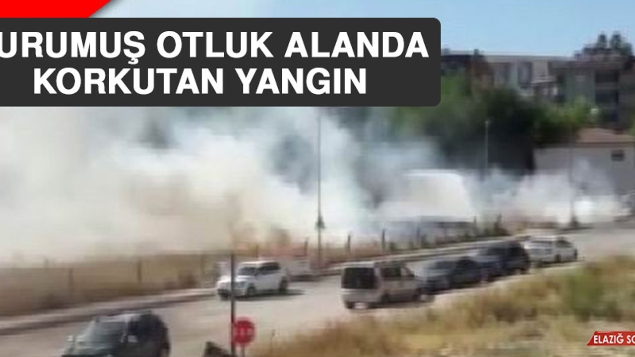 Kurumuş Otluk Alanda Korkutan Yangın  