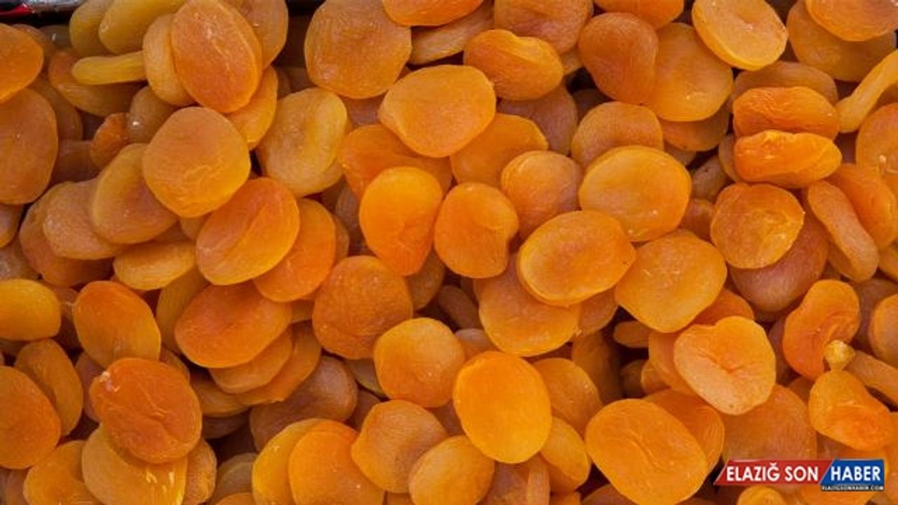 Malatya'dan 168 milyon dolarlık kuru kayısı ihracatı