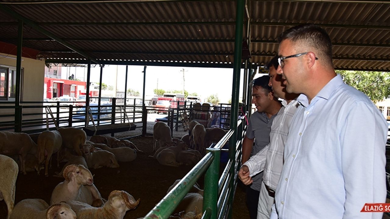 Manisa’da Kurban Satış Noktalarında İlaçlama Çalışması  