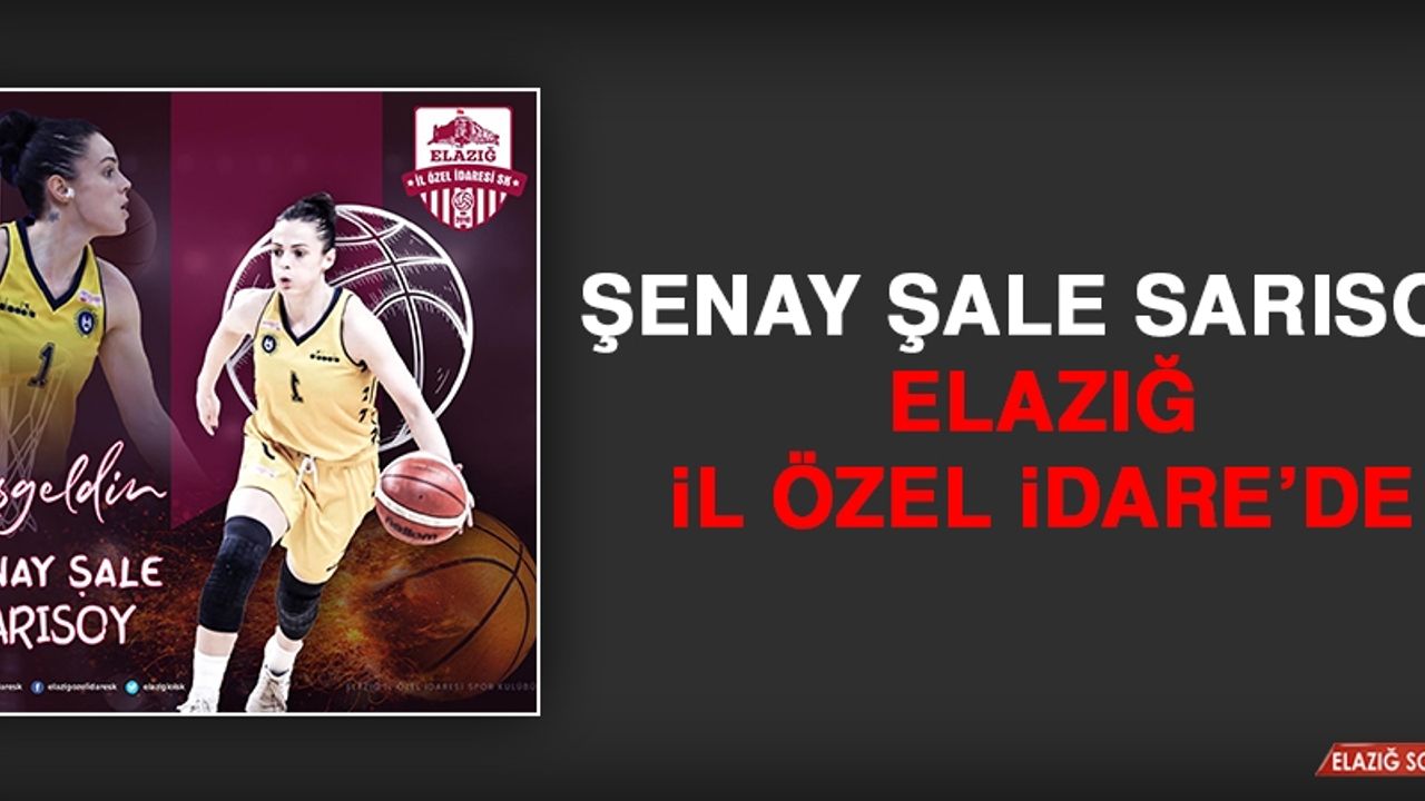 Şenay Şale Sarısoy, Elazığ İl Özel İdare’de