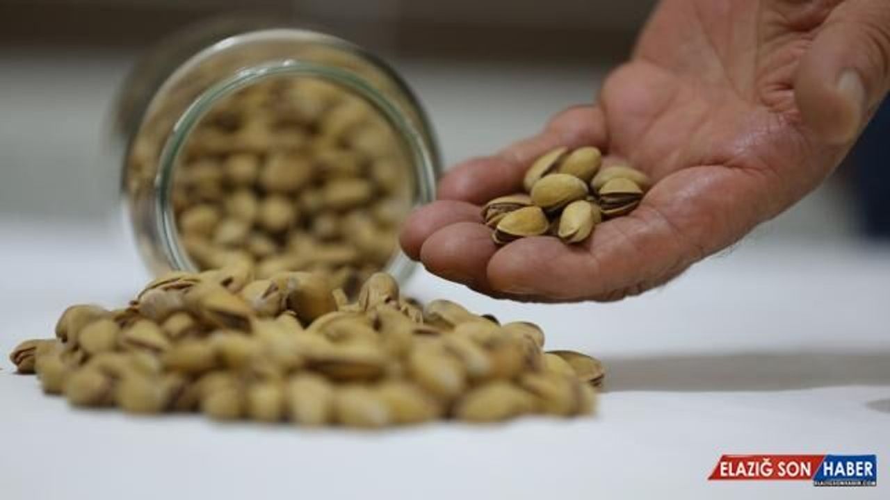 Yılın ilk yarısında 111 milyon dolarlık Antep fıstığı ihracatı